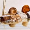 1994 Maryland Duck Stamp Print