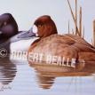 2003 Maryland Duck Stamp