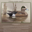 2010-2011 Federal Duck Stamp Flyer